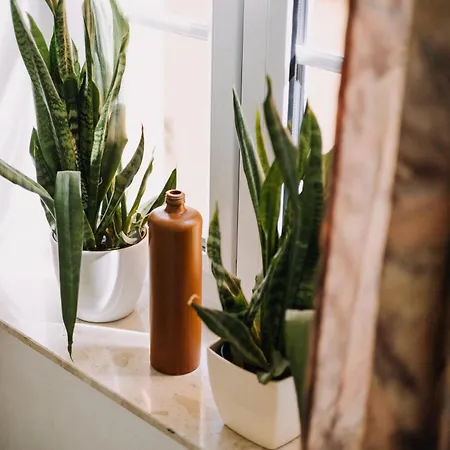 Hotel Biohotel Amadeus Schwerin (Mecklenburg-Vorpommern)