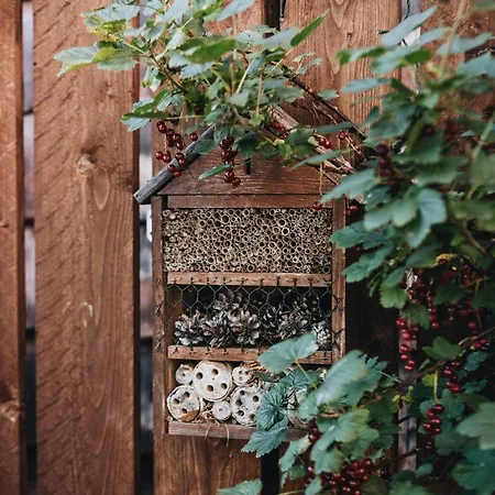 Biohotel Amadeus Hotel Schwerin (Mecklenburg-Vorpommern)