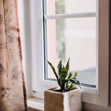 Hotel Biohotel Amadeus 4*