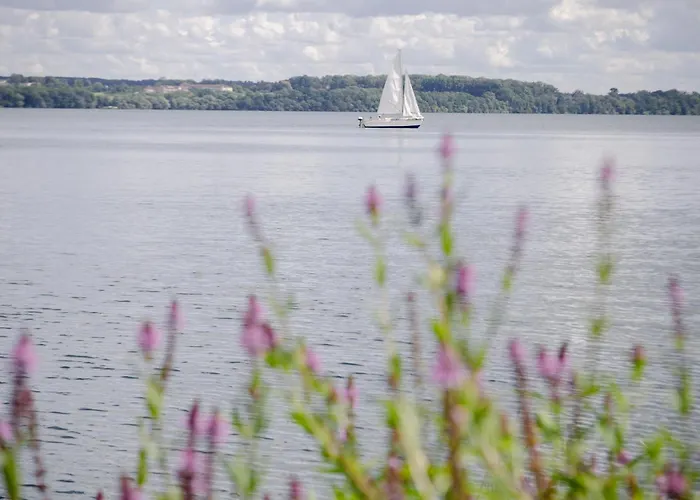 Hotel Biohotel Amadeus 4*