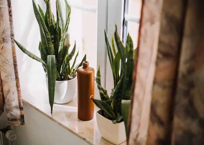 Hotel Biohotel Amadeus Schwerin (Mecklenburg-Vorpommern)