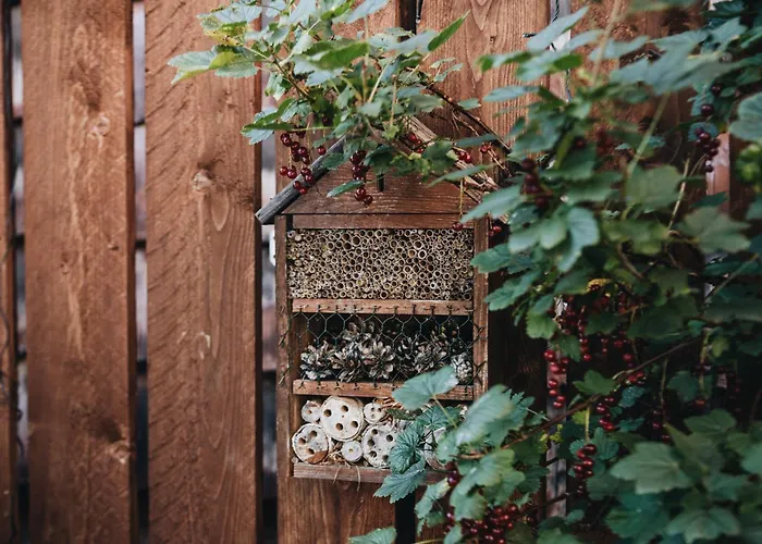 Biohotel Amadeus Hotel Schwerin (Mecklenburg-Vorpommern)