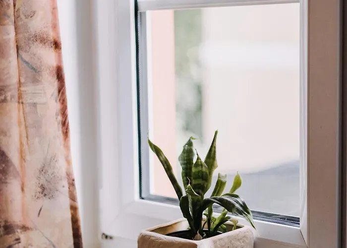 Hotel Biohotel Amadeus 4*