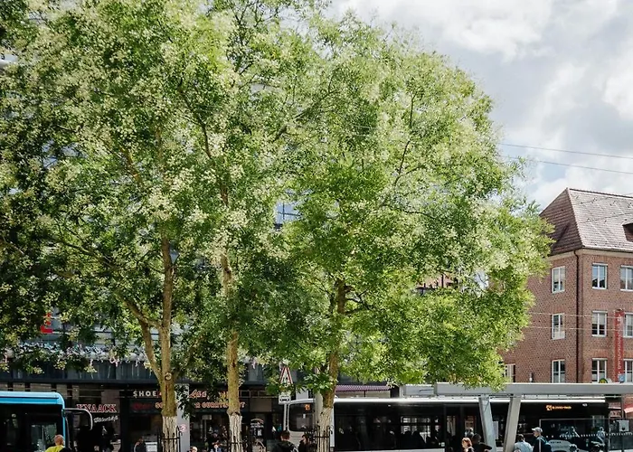 Biohotel Amadeus Hotel